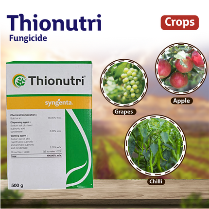 Syngenta Thionutri Fungicide Crops