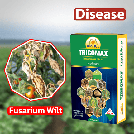 Anshul Tricomax Powder Fungicide - 1KG Diseases