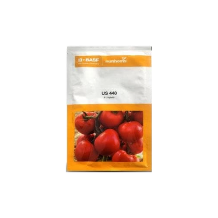 Nunhems Us 440 Tomato Seeds - Pack of 3000 Seeds - Agriplex