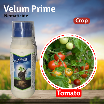 Bayer Velum Prime Nematicide Crop
