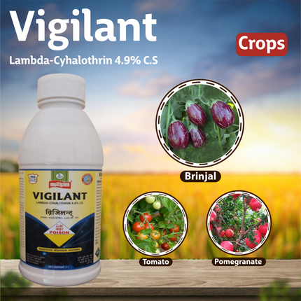 Multiplex Vigilant Insecticide Crops
