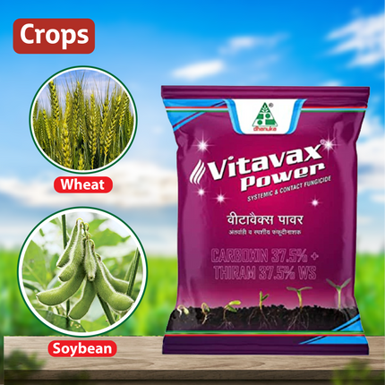 Dhanuka Vitavax Power Fungicide - 100 GM Crops
