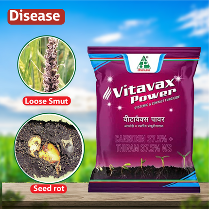Dhanuka Vitavax Power Fungicide - 100 GM Diseases
