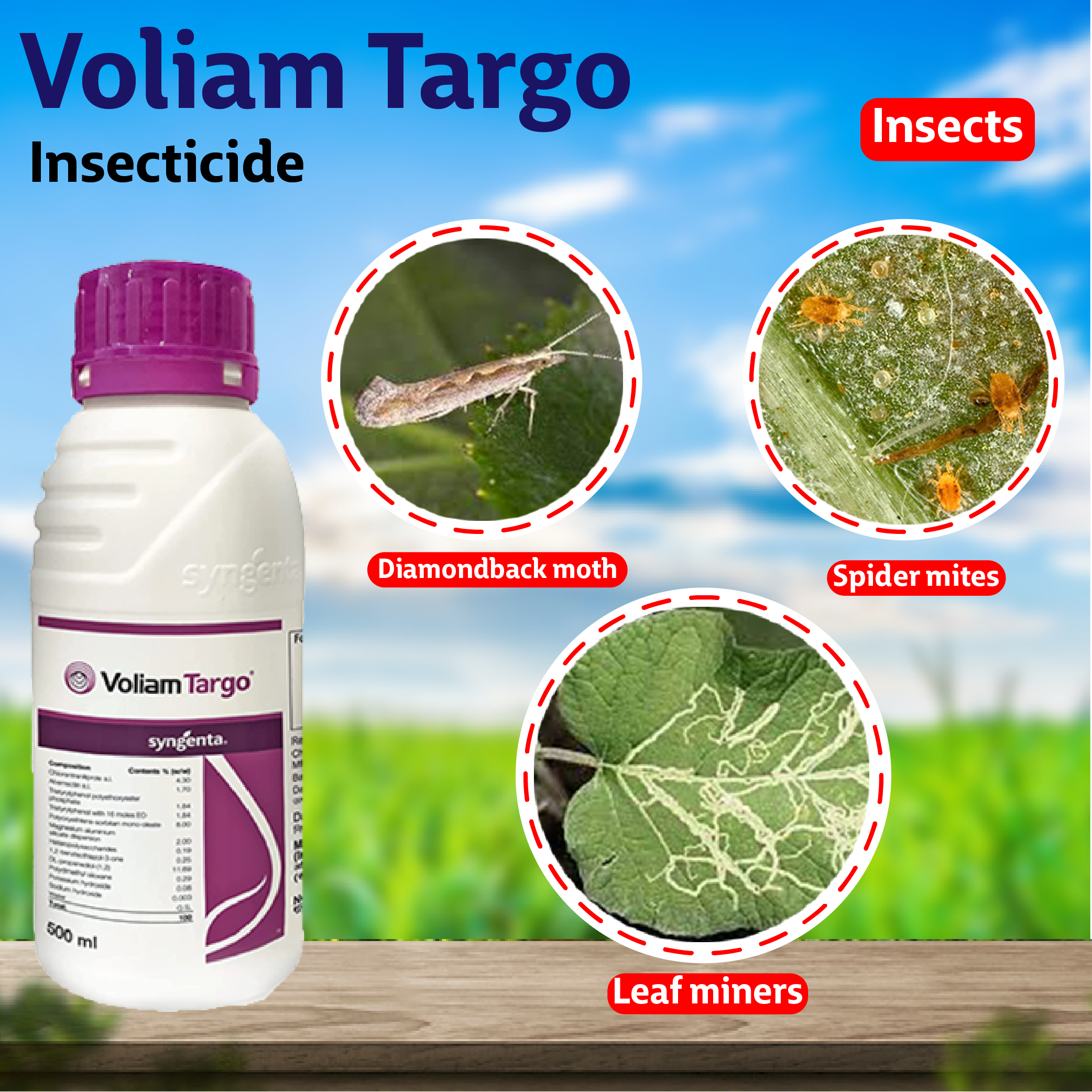 Syngenta Voliam Targo Insecticide – Agriplex