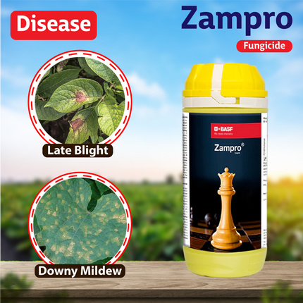 BASF Zampro Fungicide