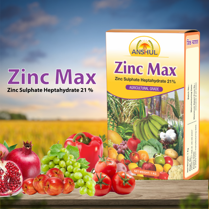 Anshul Zinc Max Micro Nutrient - 1 KG