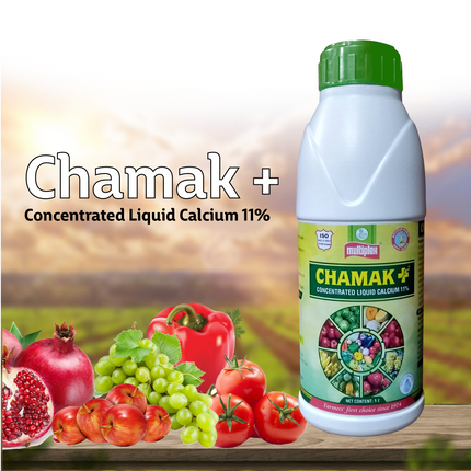 Multiplex Chamak Plus + (Liquid Calcium)