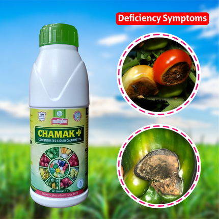 Multiplex Chamak Plus + (Liquid Calcium) Deficiency Symptoms