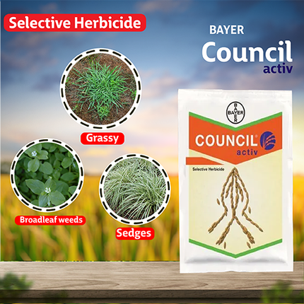 Bayer Council Activ Herbicide