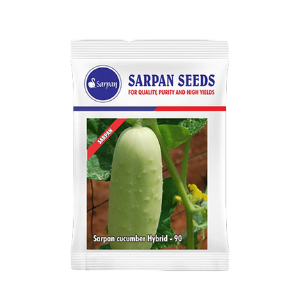 Sarpan Hybrid Cucumber Seeds - 50 GM