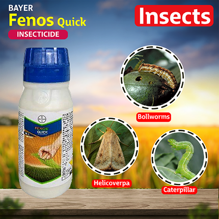 Bayer Fenos Quick Insecticide