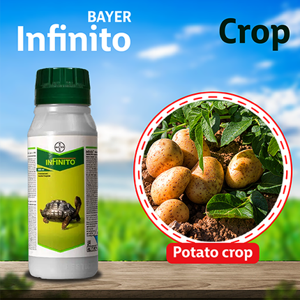 Bayer Infinito Fungicide Crop