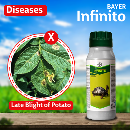 Bayer Infinito Fungicide Disease