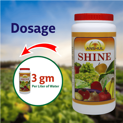 Anshul Shine Micro Nutrient Powder Dosage