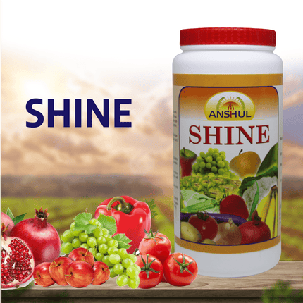 Anshul Shine Micro Nutrient Powder