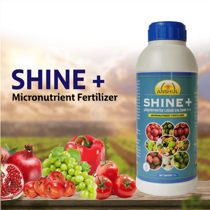 Anshul Shine+ Secondary Nutrient & Multi Micronutrients