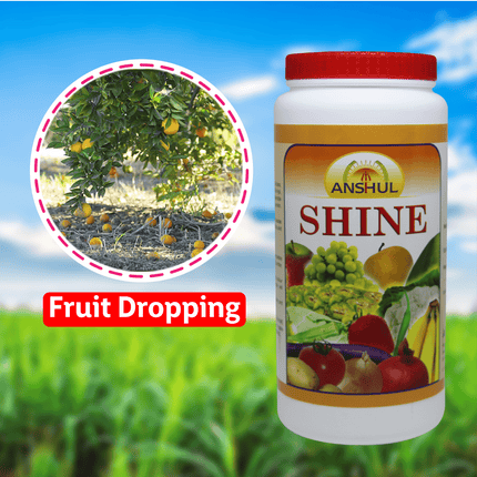 Anshul Shine Micro Nutrient Powder Crops