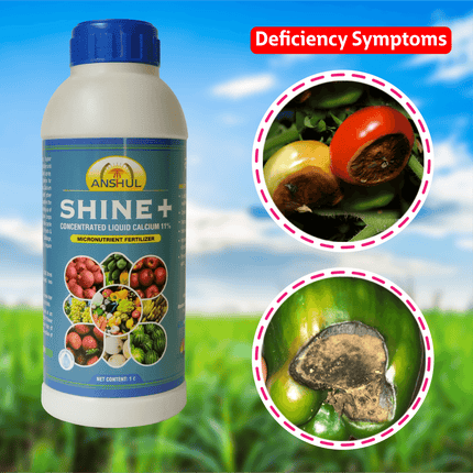 Anshul Shine+ Secondary Nutrient & Multi Micronutrients Deficiency symptoms