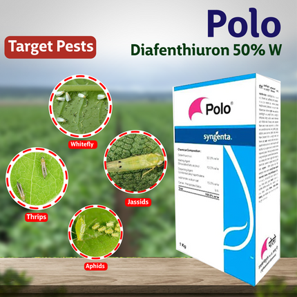Syngenta Polo Insecticide