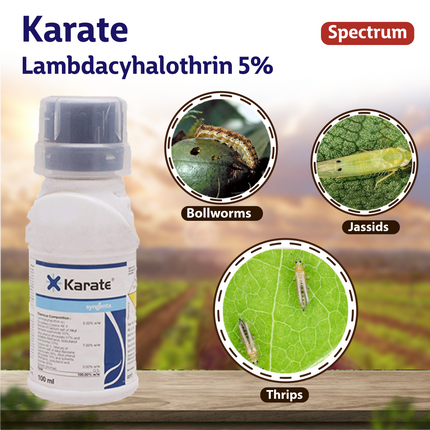 Syngenta Karate Insecticide
