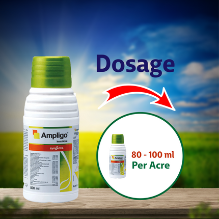 Syngenta Ampligo Insecticide Dosage