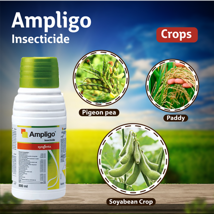 Syngenta Ampligo Insecticide Crops