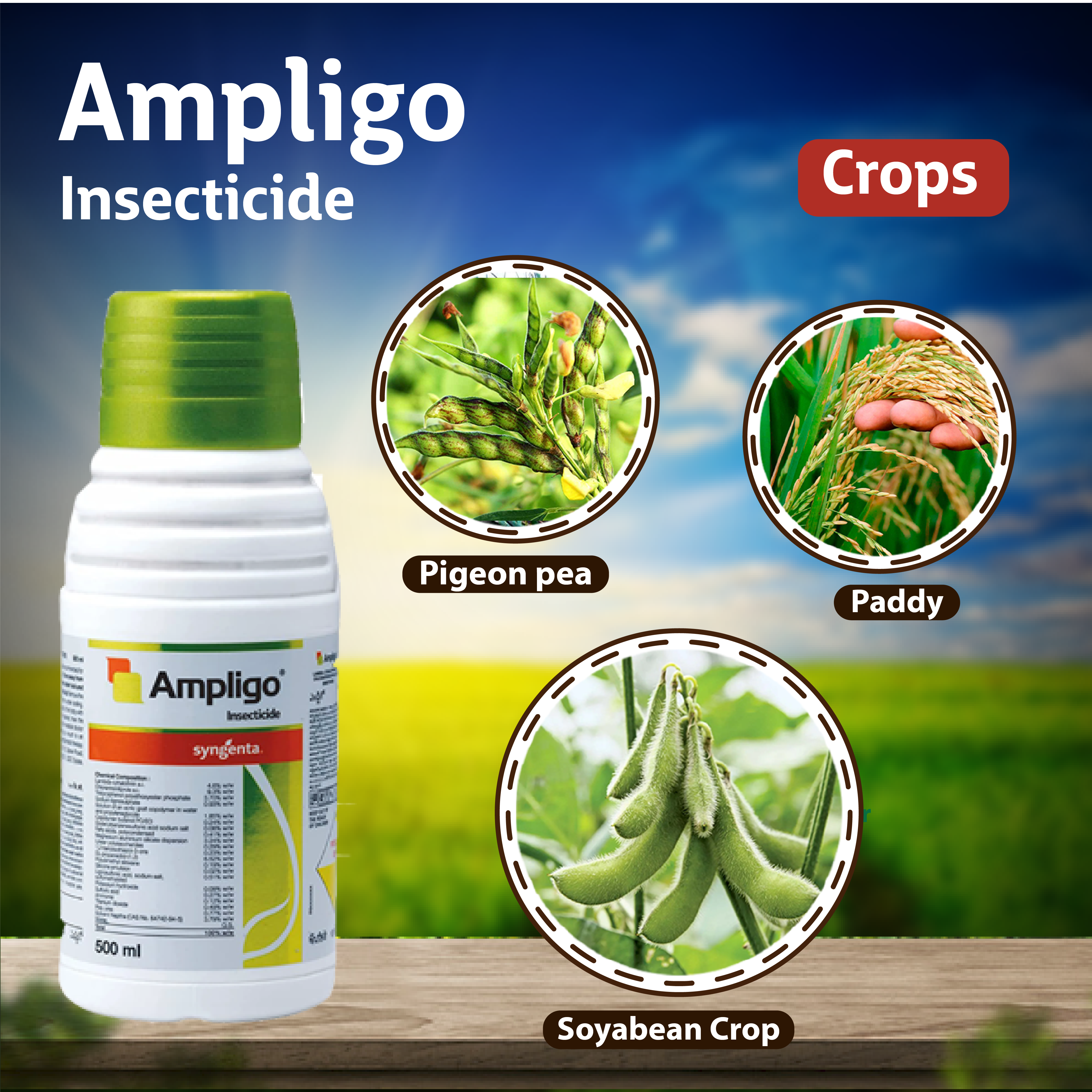 Syngenta Ampligo Insecticide – Agriplex
