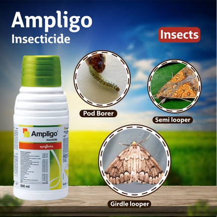 Syngenta Ampligo Insecticide