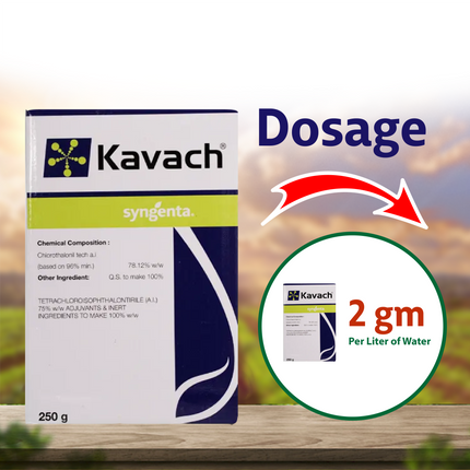 Syngenta Kavach Fungicide Dosage
