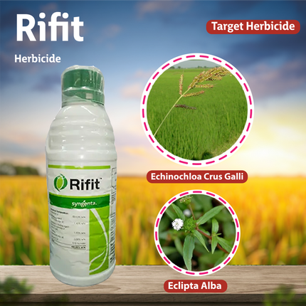 Syngenta Rifit Herbicide